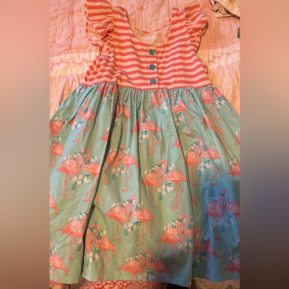 Elenor Rose Dress size 6